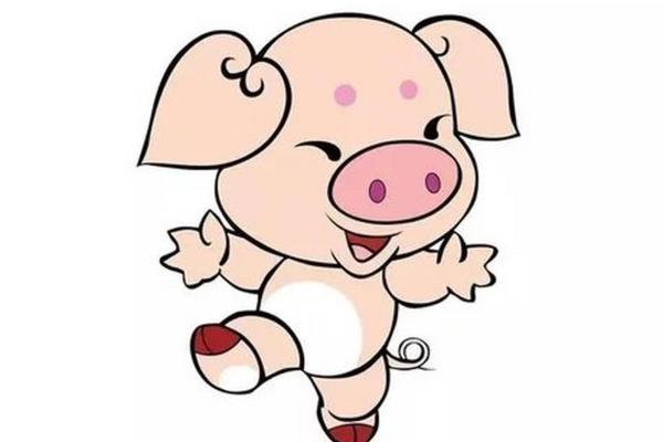 属猪女运程指南:事业、感情与健康全方位分析 属猪女运程指南:事业、感情与健康全方位分析
