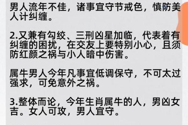 属牛全年运势解读:各大领域运程全覆盖 属牛全年运势解读:各大领域运程全覆盖
