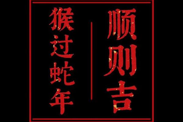 猴年鸡人运势透视:财运与人际关系走向 猴年鸡人运势透视:财运与人际关系走向