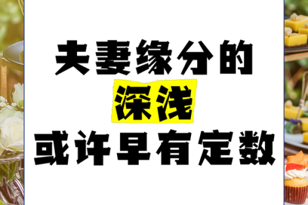 甲子日柱与婚姻的缘分定数 甲子日柱与婚姻的缘分定数