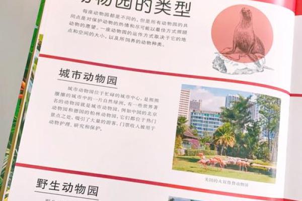 探索小动物的世界:让你爱上它们的名字 探索小动物的世界:让你爱上它们的名字