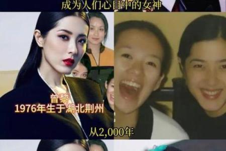 揭秘名星背后的成长历程