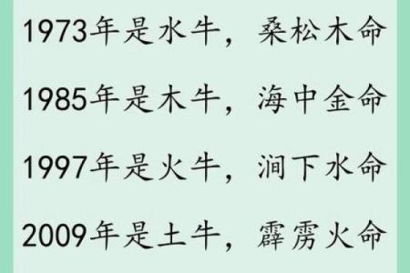 生肖牛运程大揭秘：健康、家庭与事业的命运走向