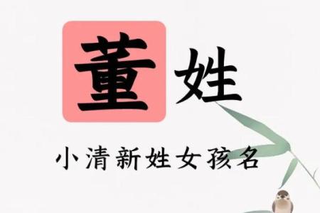 董姓宝宝名字大全：给你灵感的精选推荐