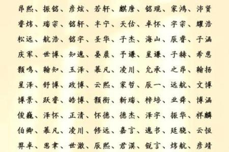 父母必看！如何用生辰八字为孩子规划未来