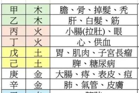 运五行属于哪种元素？揭秘五行与命运的关系