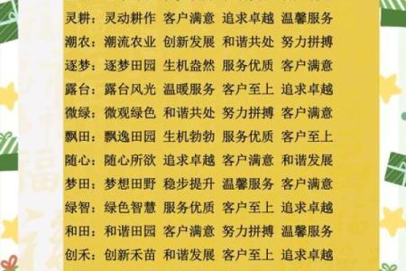 如何为科技公司挑选一个富有创意和吸引力的名字
