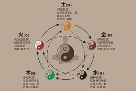 五行八字揭秘：如何通过八字分析改善运势和健康