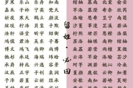 奕女孩名字的寓意与选取指南