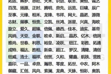 如何通过网上公司起名大全快速为你的创业公司取名