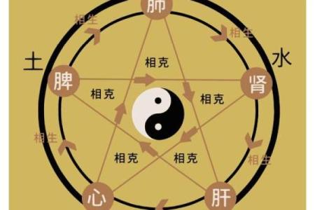 张五行笔画解析：揭开五行与书法的神秘联系