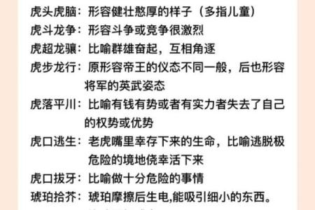农历一月虎：这一年，虎年命运大不同