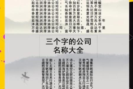 精确海南公司起名系统，提升企业品牌竞争力