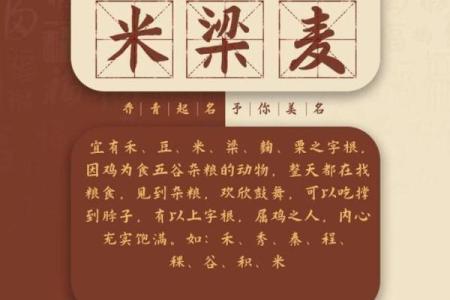 适合鸡宝宝的创意名字大全