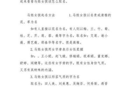 为你的马匹选个独特名字的秘诀