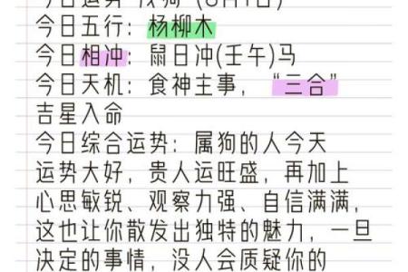 狗人运势详解：事业、爱情与健康运程大预测
