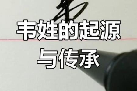 韦姓五行属什么？解析韦姓命理与性格特点