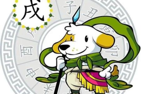 属狗人运势解析：如何把握机遇迎接挑战