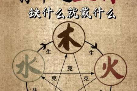 柟树五行属性揭秘，了解它与五行的关系