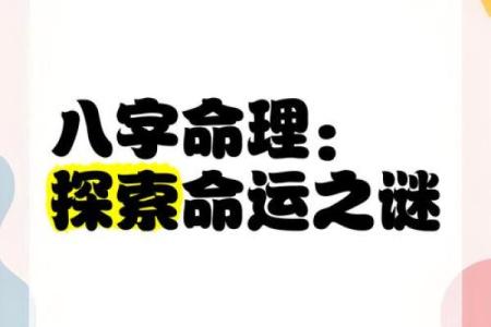 探索生辰八字与动物的关系，掌握命运的关键密码