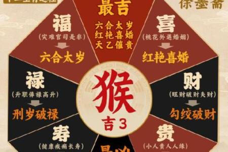 属猴历，事业腾飞的最佳时机
