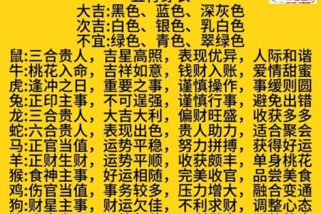 生肖运程大揭秘：你的运势如何变化