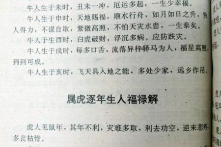出生属虎人运势指南