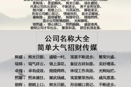 如何为数字公司选择一个独特且富有创意的名称