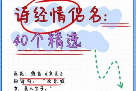 诗经中的女性名字：为女宝宝选择古韵之美