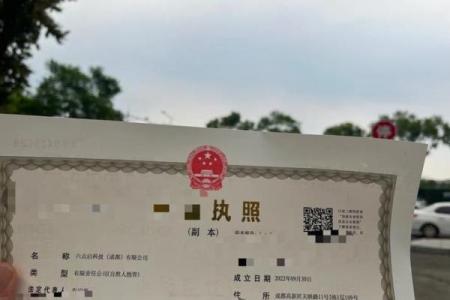 天马字寓意深远的公司起名策略解析