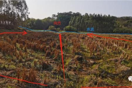 探索平原地形中的风水宝地