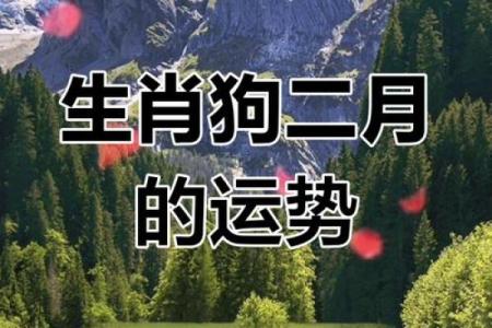 属狗人感情运势大揭秘