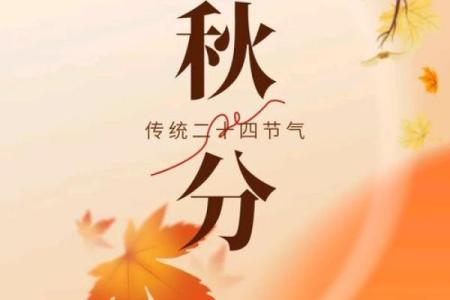 秋分时节，农历的独特节气如何影响生活