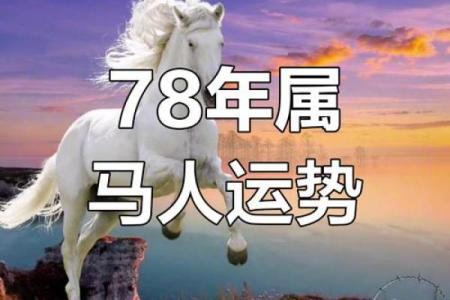 马人运势：如何应对财运和健康的挑战