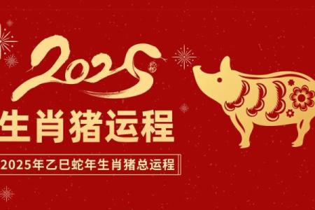 属猪人的健康运势与生活中的注意事项