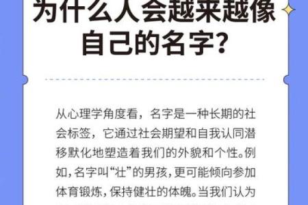 向的名字如何影响个人性格与命运