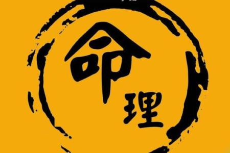 八字喜木的人命运如何？掌握这些关键点让你运势更佳
