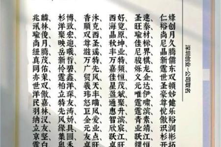 旺财名字背后的寓意与象征意义