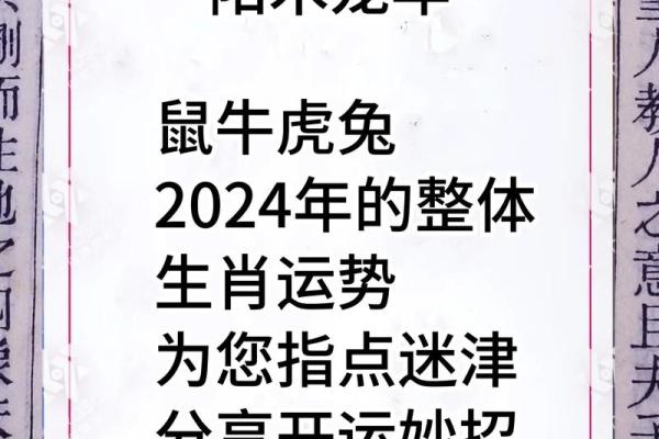 生肖运程预测:如何在今年抓住好运 生肖运程预测:如何在今年抓住好运