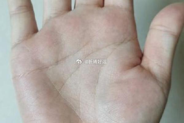 属鸡运程走势:事业与爱情的双重考验 属鸡运程走势:事业与爱情的双重考验