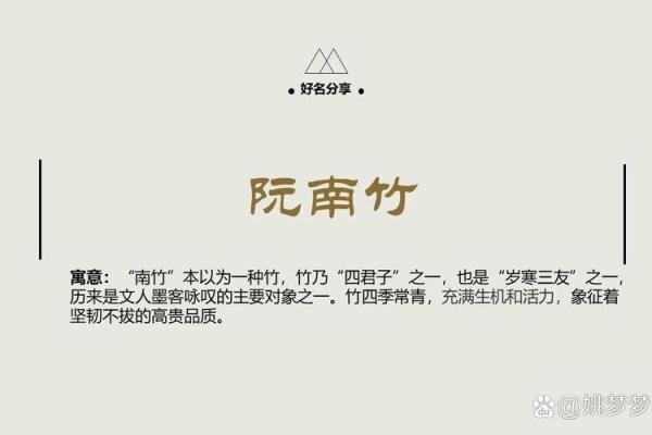 阮字的文化意义与象征 阮字的文化意义与象征