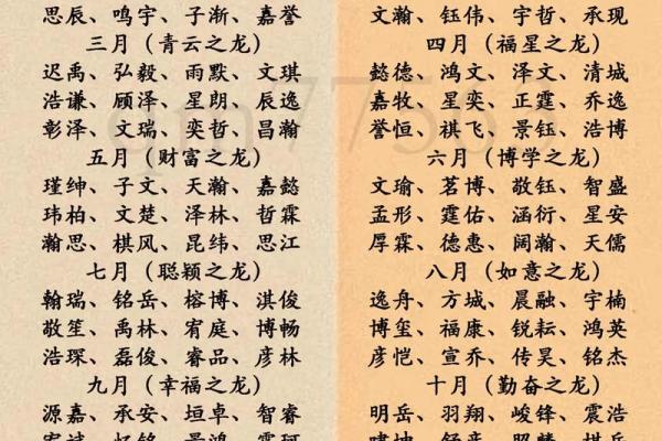 龙年男宝宝起名技巧与寓意解析 龙年男宝宝起名技巧与寓意解析