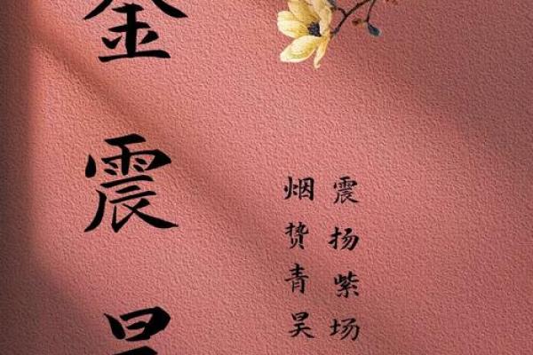 适合金姓男孩的独特名字大全 适合金姓男孩的独特名字大全