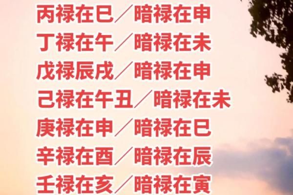 轻松掌握生辰八字,改变你的人生运势 轻松掌握生辰八字,改变你的人生运势
