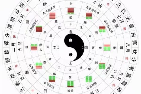 如何通过生辰八字与风水改善运势，提升生活质量
