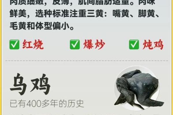 如何为鸡宝宝取一个既有意义又独特的名字