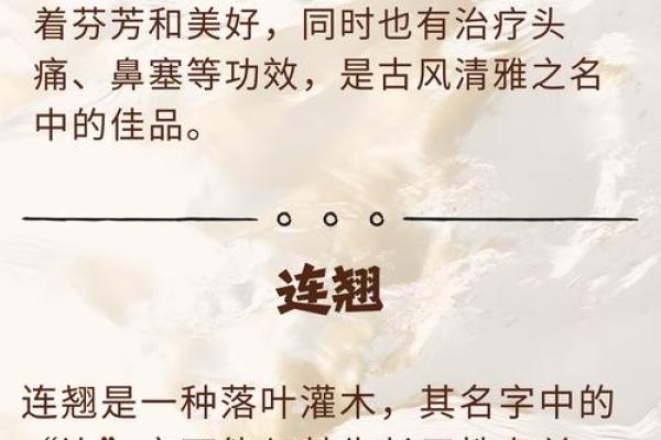 解读Harry这个名字在不同文化中的象征意义 解读Harry这个名字在不同文化中的象征意义