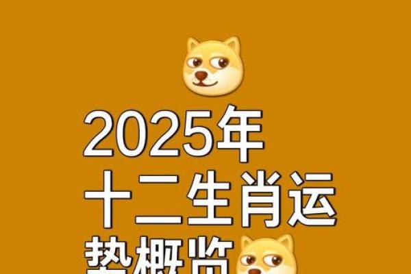 今日鼠运势分析:事业与感情的双重考验 今日鼠运势分析:事业与感情的双重考验