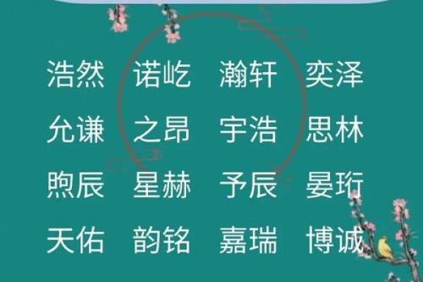 选择宝宝名字时,如何平衡传统与现代 选择宝宝名字时,如何平衡传统与现代