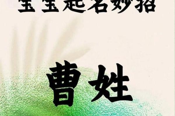 曹姓宝宝取名宝典 曹姓宝宝取名宝典